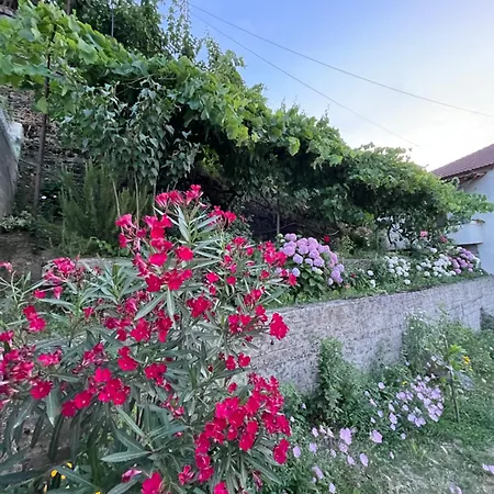 Bed & Breakfast Elsa's